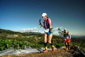 BIB: 256
                            <button type="button" onclick="openModal(19122891)" class="btn btn-primary btn-sm float-right btn-popup" data-toggle="modal" data-target=".modal-high-quality">
                        <i class="fas fa-shopping-cart"></i> Add to Cart
                    </button>
                                            <button type="button" onclick="isThisMe(19122891, true)" class="btn btn-success btn-sm float-right btn-popup btn-isme hidden" data-toggle="tooltip" data-placement="bottom" title="นี่คือรูปของคุณใช่ไหม คลิกที่นี่เพื่อเอาเข้าอัลบั้ม">
                        <i class="fas fa-plus"></i> Add to album
                    </button>
                    <button type="button" onclick="isThisMe(19122891, false)" class="btn btn-warning btn-sm float-right btn-popup btn-isnotme hidden">
                        <i class="fas fa-ban"></i> Remove from album
                    </button>